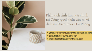 Luận văn thực trạng phân tích tình hình tài chính tại Công ty Petrolimex Hải Phòng
