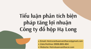 Tiểu luận phân tích biện pháp tăng lợi nhuận công ty đồ hộp Hạ Long