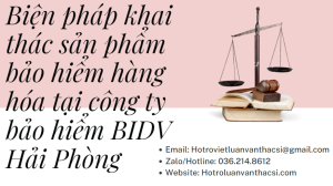 Luận văn giải pháp khai thác sản phẩm bảo hiểm hàng hóa tại công ty Bảo hiểm BIDV Hải Phòng.