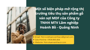 Khóa luận: Biện pháp mở rộng thị trường tiêu thụ sản phẩm
