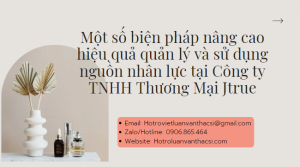 Khóa luận: Giải pháp đẩy mạnh quản lý và sử dụng nhân lực