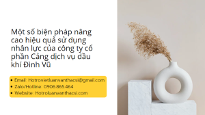 Khoá luận: Giải pháp nâng cao hiệu quả sử dụng nguồn nhân lực